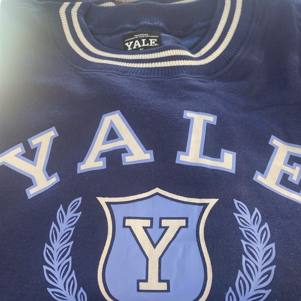 Torrid Yale Cozy Fleece Banded V-Neck Sweatshirt - Picture 7 of 8